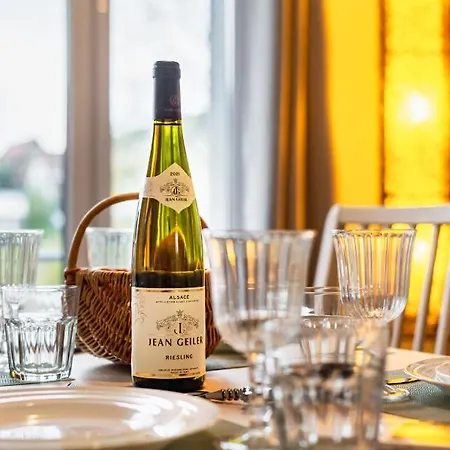 アパート Cosy On Strasbourg Tramway Line And Canal - Confortable Sur Ligne Tram Strasbourg Et Canal *