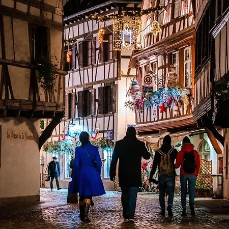 Cosy On Strasbourg Tramway Line And Canal - Confortable Sur Ligne Tram Strasbourg Et Canal アパート