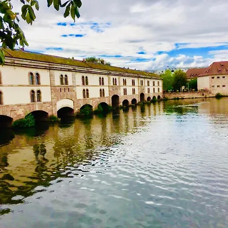 アパート Cosy On Strasbourg Tramway Line And Canal - Confortable Sur Ligne Tram Strasbourg Et Canal ビシュハイム