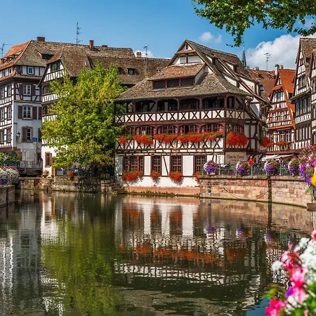 Apartment Cosy On Strasbourg Tramway Line And Canal - Confortable Sur Ligne Tram Strasbourg Et Canal