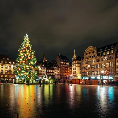 Cosy On Strasbourg Tramway Line And Canal - Confortable Sur Ligne Tram Strasbourg Et Canal アパート