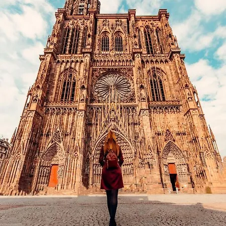 Cosy On Strasbourg Tramway Line And Canal - Confortable Sur Ligne Tram Strasbourg Et Canal アパート
