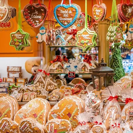 Cosy On Strasbourg Tramway Line And Canal - Confortable Sur Ligne Tram Strasbourg Et Canal ビシュハイム