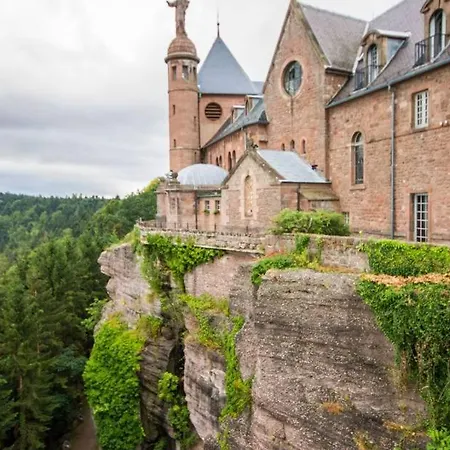 Cosy On Strasbourg Tramway Line And Canal - Confortable Sur Ligne Tram Strasbourg Et Canal アパート *
