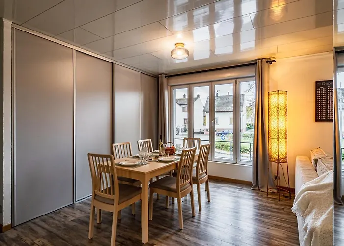 Apartment Cosy On Strasbourg Tramway Line And Canal - Confortable Sur Ligne Tram Strasbourg Et Canal Bischheim