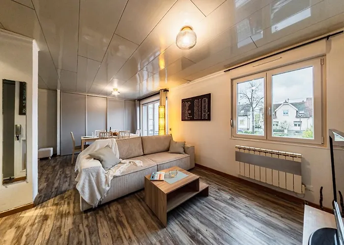 Cosy On Strasbourg Tramway Line And Canal - Confortable Sur Ligne Tram Strasbourg Et Canal Apartment *