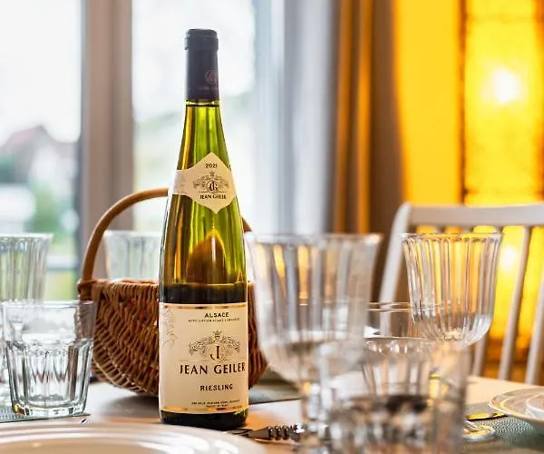 Apartment Cosy On Strasbourg Tramway Line And Canal - Confortable Sur Ligne Tram Strasbourg Et Canal *