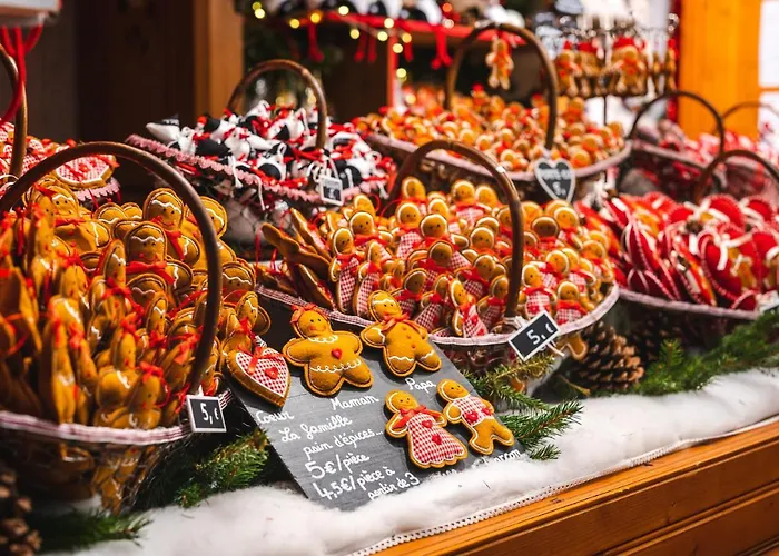 Cosy On Strasbourg Tramway Line And Canal - Confortable Sur Ligne Tram Strasbourg Et Canal Apartment *