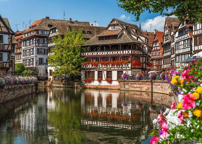 Apartment Cosy On Strasbourg Tramway Line And Canal - Confortable Sur Ligne Tram Strasbourg Et Canal