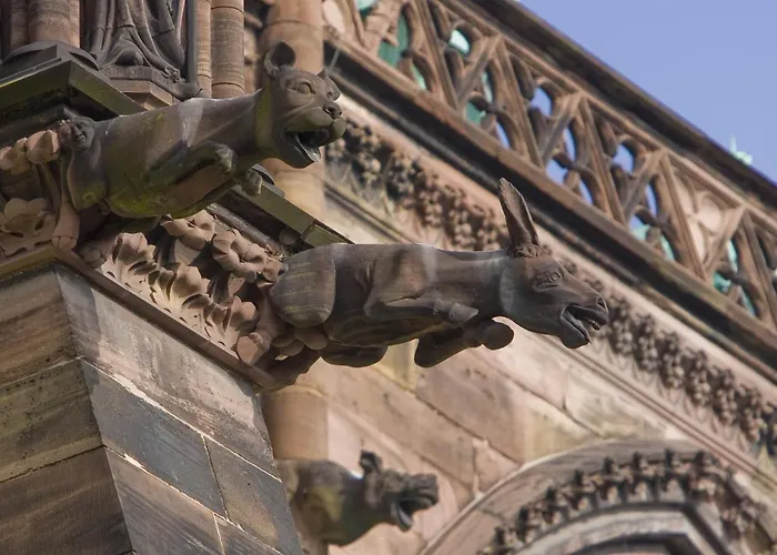 Apartment Cosy On Strasbourg Tramway Line And Canal - Confortable Sur Ligne Tram Strasbourg Et Canal