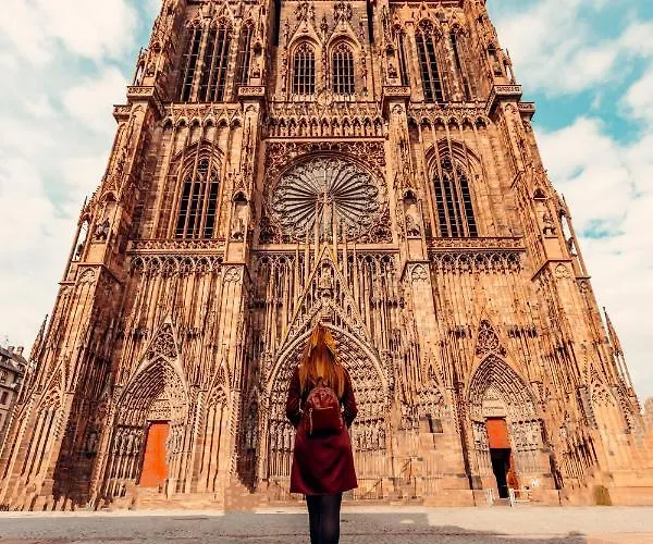 Cosy On Strasbourg Tramway Line And Canal - Confortable Sur Ligne Tram Strasbourg Et Canal Apartment